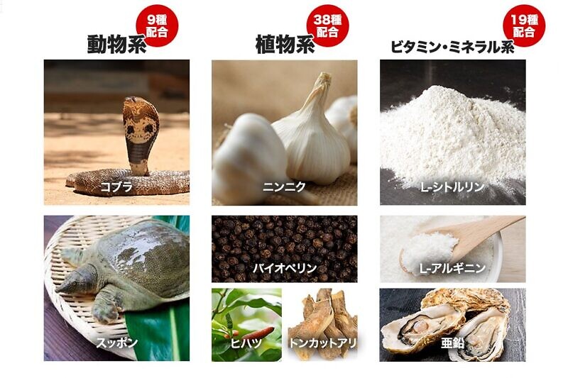 厳選された66種類の成分をバランス良く配合