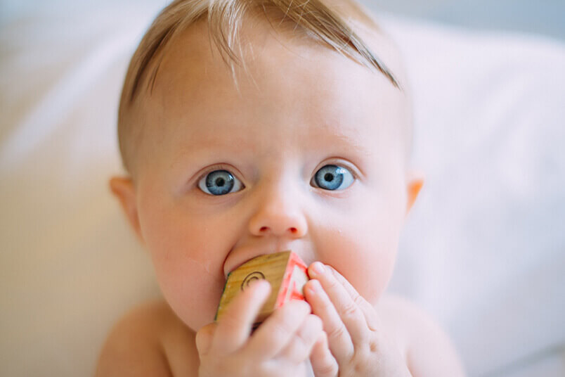 赤ちゃんの肌に多く含まれるⅢ型コラーゲンをサポートする卵殻膜エキス配合