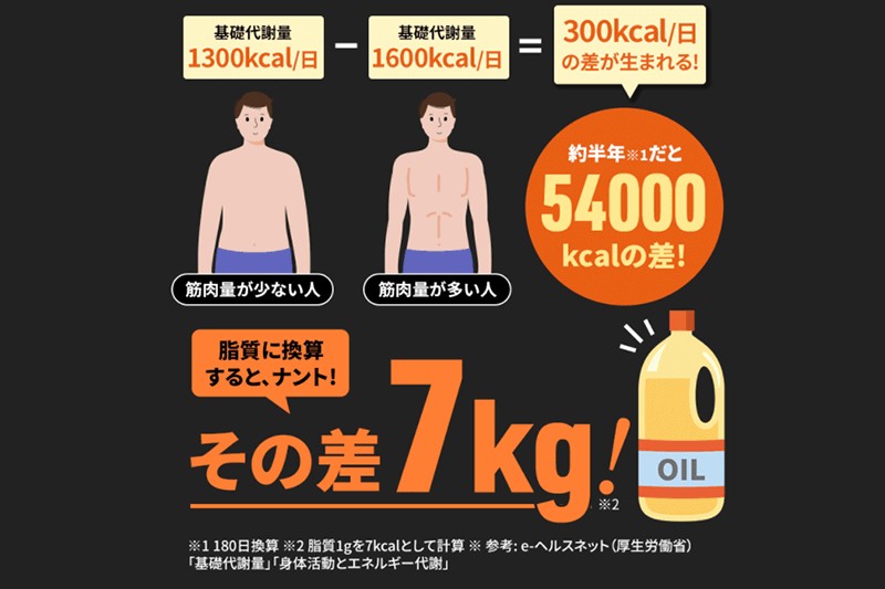 ファイラHMBの効果や口コミを検証！実際に使って徹底レビュー【PR ...