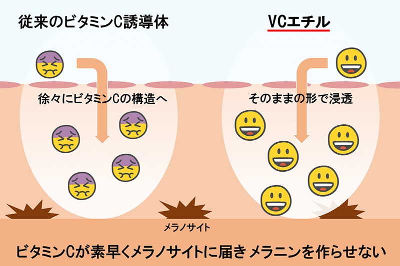 ホワイトVCセラムに含まれるVCエチルは、速効性だけでなく、ビタミンCとして72時間もの間働いてくれる