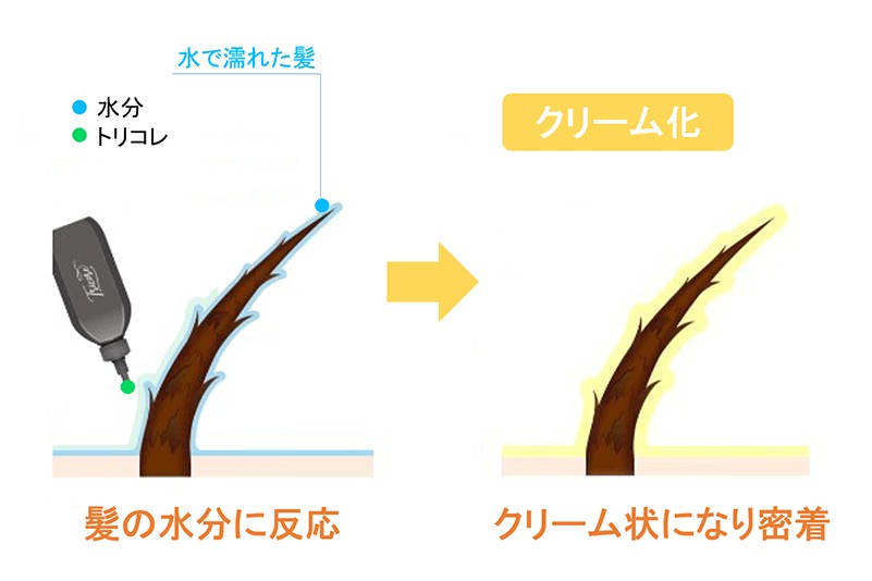 トリコレ(Tricore)温感ヘッドスパトリートメントの特徴:生トリートメントは液体が髪1本1本に行き届きやすい
