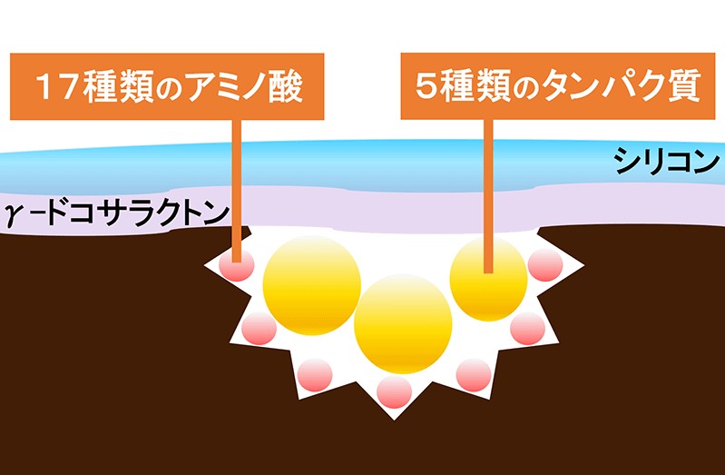 トリコレ(Tricore)温感ヘッドスパトリートメントの特徴:22種類の栄養素を配合!使い続けるごとに髪のダメージを補修