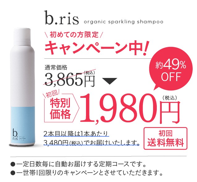 b.ris（ビーリス）炭酸シャンプーを1,980円で購入できるのは公式サイトだけ