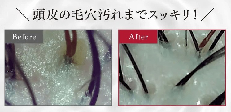 KAMIKA(カミカ)黒髪クリームシャンプーの特徴を解説3
